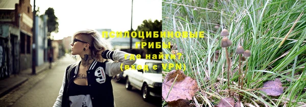 ешки Нефтегорск