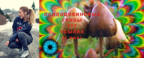 экстази Нея