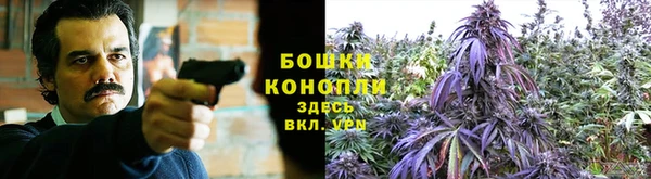 МДМА Новозыбков
