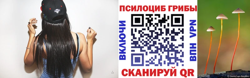 закладка  Бирюч  Галлюциногенные грибы Psilocybe 