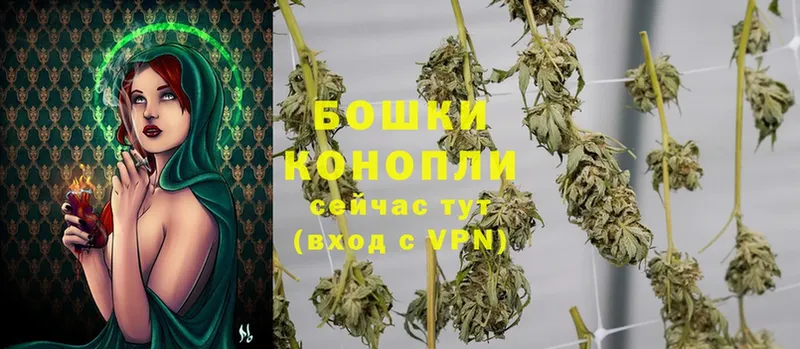 Каннабис Ganja  Бирюч 